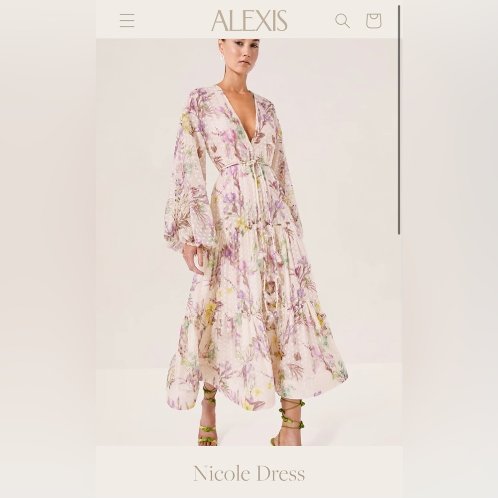 ALEXIS NICOLE DRESS: Size small *new with tags*
